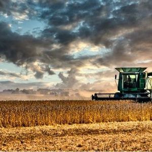 Meet your Posher, James hyer